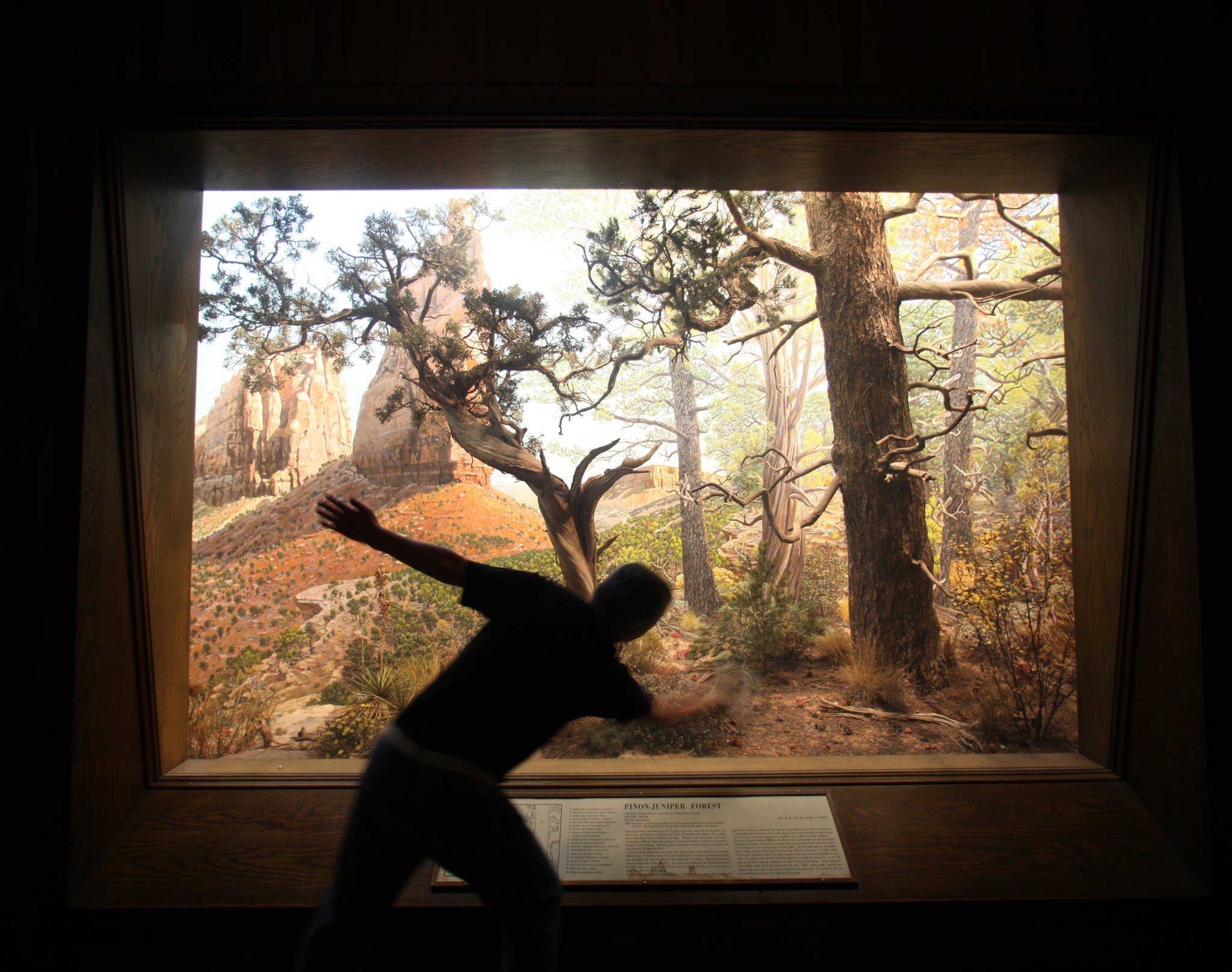 🏛️ 오고리 문화 자료관 이미지 8